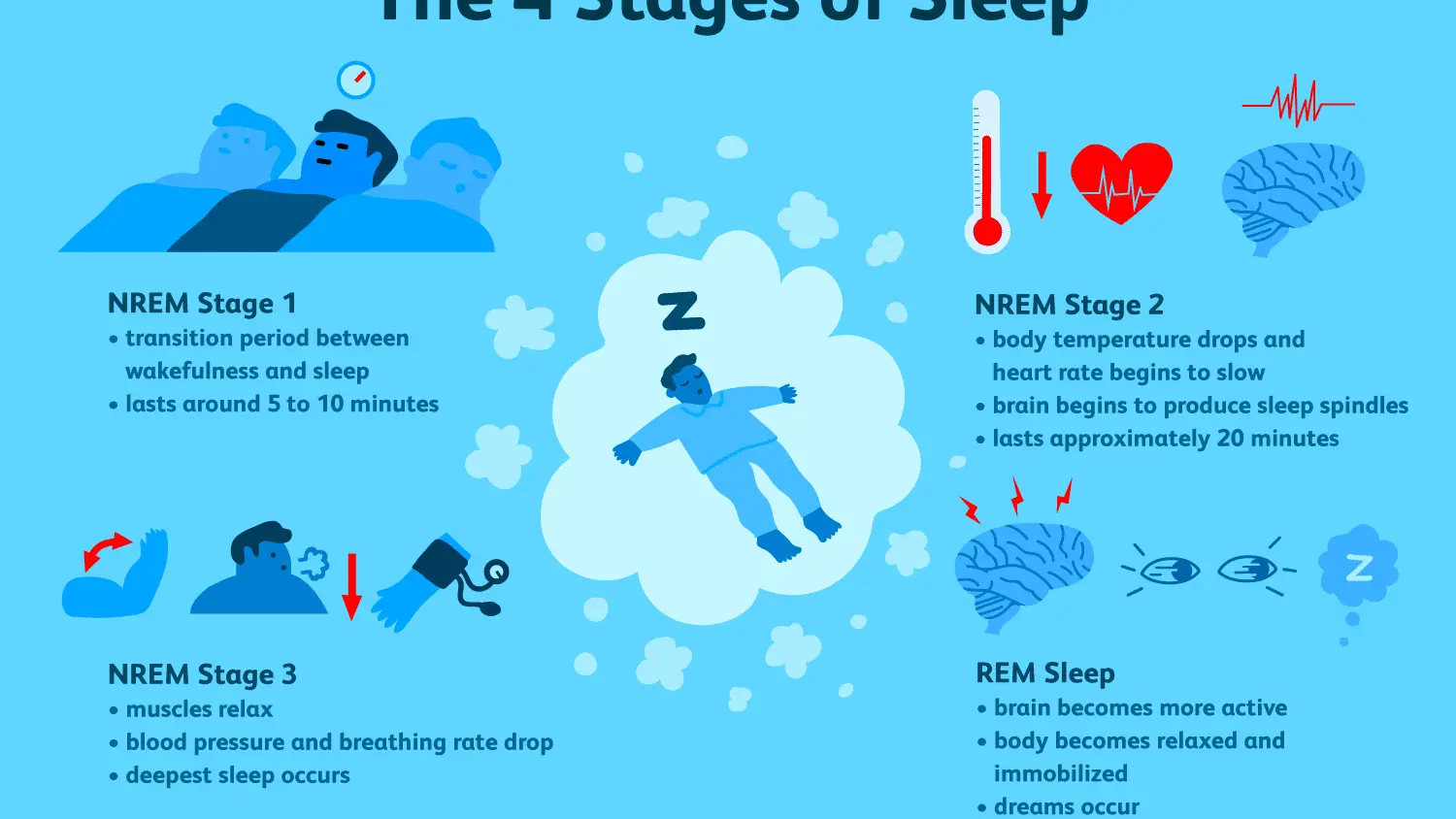 Sleep phases and sleep disturbances. What phases of sleep do we distinguish?