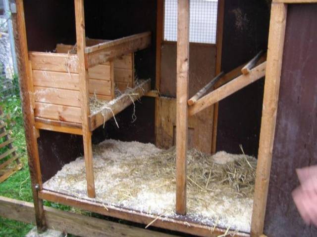 Small do-it-yourself chicken coop 