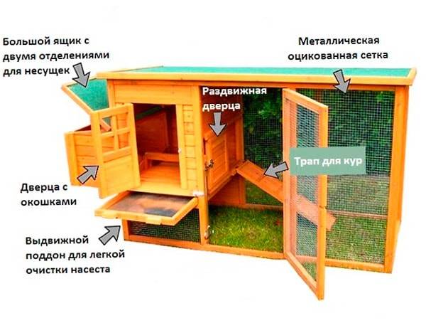 Small do-it-yourself chicken coop 