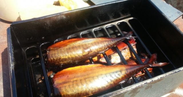 Smoking mackerel in a hot smoked smokehouse: recipes