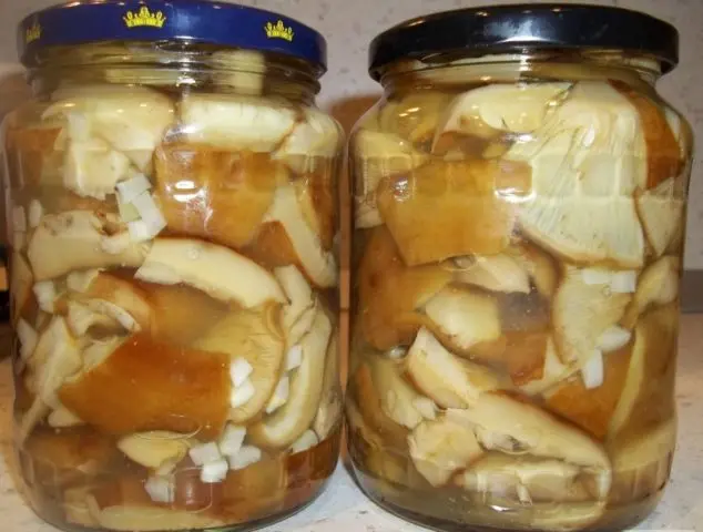 Smooth mushroom: photo and description, salting recipes for the winter