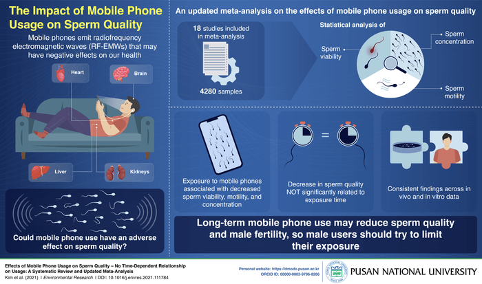 So cell phones reduce the quality of semen. The appalling results of the research