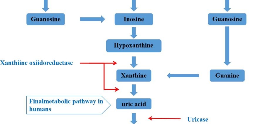 So that the excess uric acid does not spoil the summer, that is, the diet of people with hyperuricemia