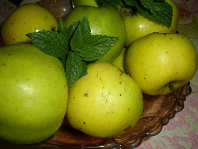 Soaked apples Antonovka