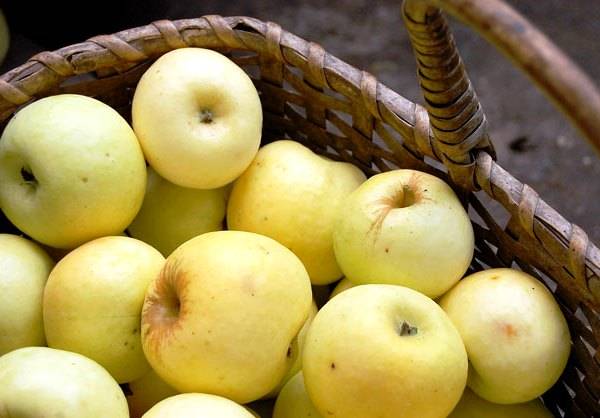 Soaked apples in jars for the winter