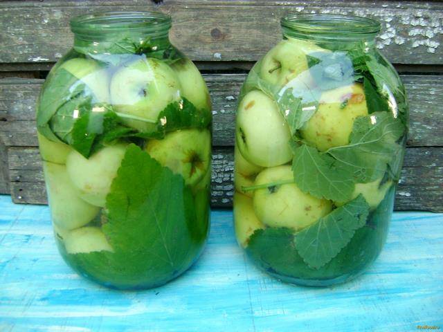 Soaked apples in jars for the winter