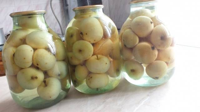 Soaked apples in jars for the winter