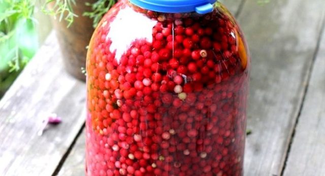 Soaked cranberries