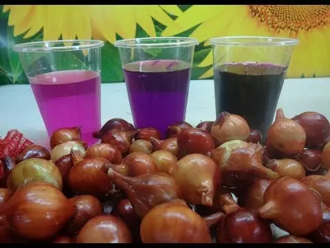 Soaking onions in potassium permanganate before planting: proportions, how much to keep