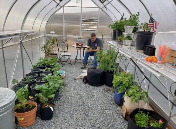 Soil cultivation in the greenhouse with Fitosporin in the spring: before planting, from diseases, from pests