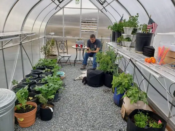 Soil cultivation in the greenhouse with Fitosporin in the spring: before planting, from diseases, from pests