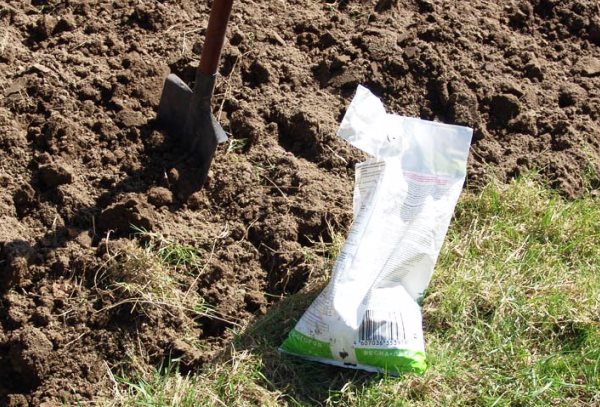 Soil for potatoes: tips and tricks for preparation