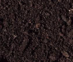 Soil for seedlings of cucumbers