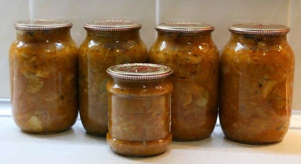 Solyanka for the winter: homemade recipes for cooking vegetable dressing for borscht, pickle in jars with mushrooms, cabbage