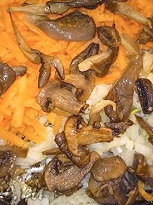 Solyanka from fresh mushrooms with vegetables