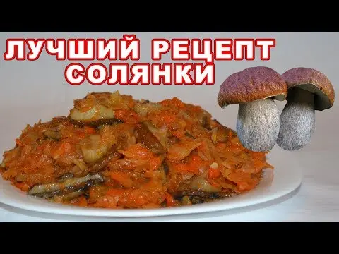 Solyanka from fresh mushrooms with vegetables