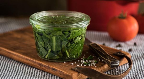 Sorrel for the winter: harvesting greens at home and the best recipes for cooking in jars