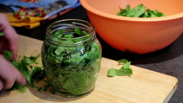 Sorrel for the winter: harvesting greens at home and the best recipes for cooking in jars