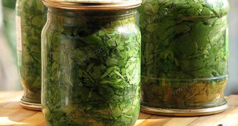 Sorrel for the winter: harvesting greens at home and the best recipes for cooking in jars