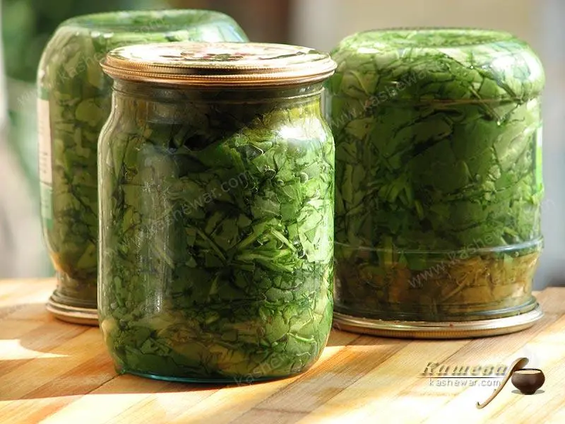 Sorrel for the winter: harvesting greens at home and the best recipes for cooking in jars