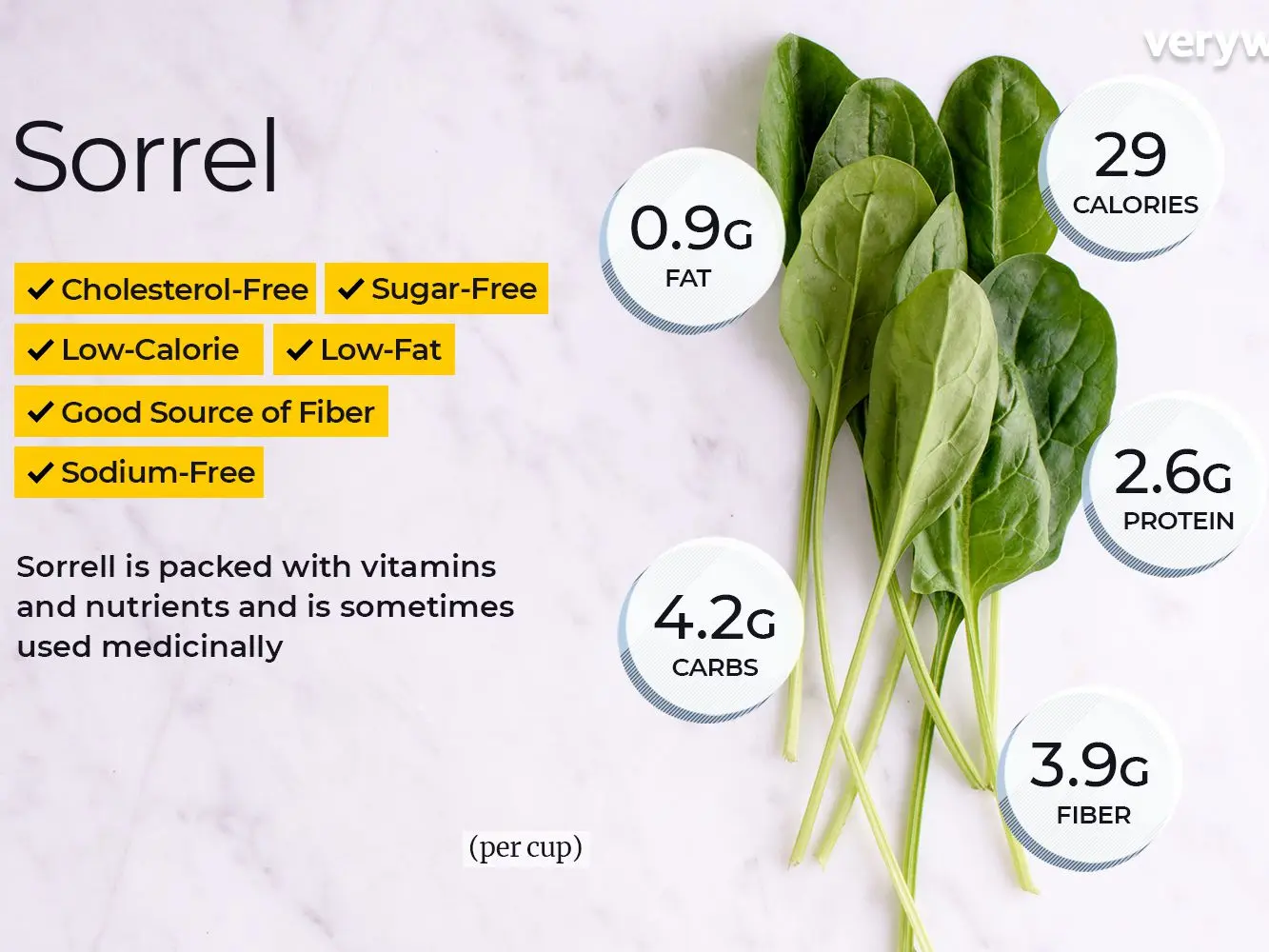 Sorrel &#8211; properties, nutrients, use, recipes