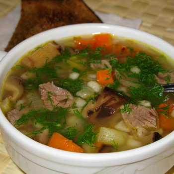 Soup from fresh porcini mushrooms: recipes for how to cook deliciously