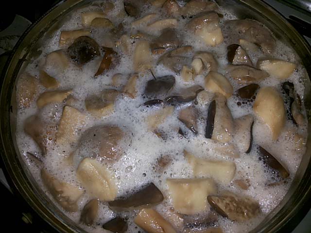 Soup from fresh porcini mushrooms: recipes for how to cook deliciously