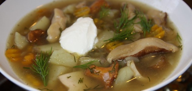 Soup from fresh porcini mushrooms: recipes for how to cook deliciously