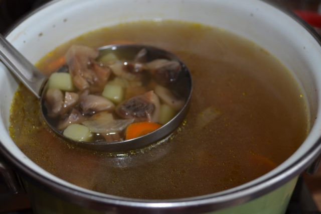 Soup from fresh porcini mushrooms: recipes for how to cook deliciously