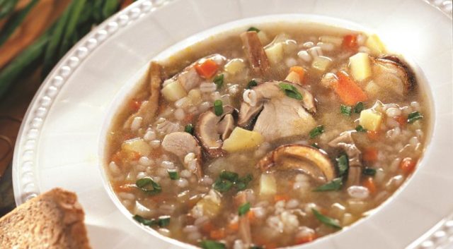 Soup from fresh porcini mushrooms: recipes for how to cook deliciously