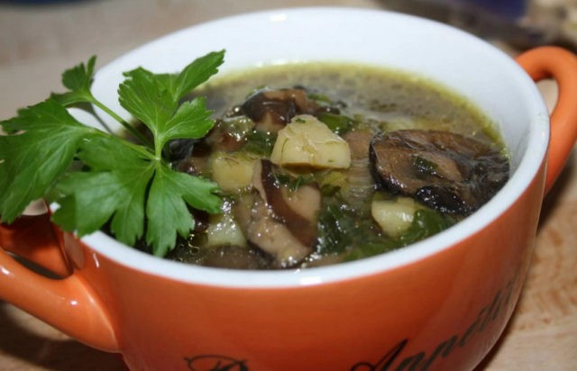 Soup from frozen mushrooms: how to cook a mushroom, recipes