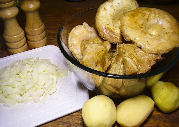 Soup from salted milk mushrooms: how to cook, recipes with photos