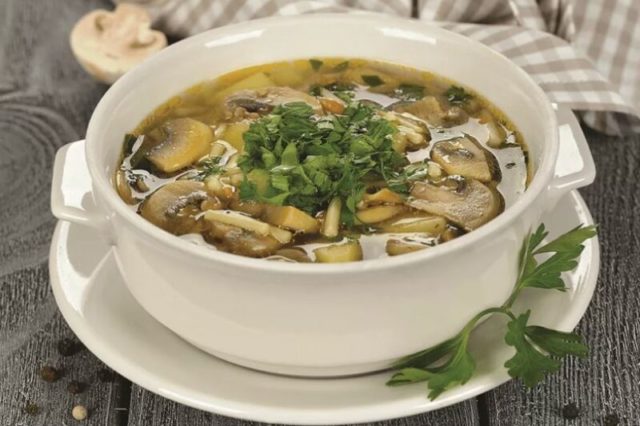 Soup with champignons and potatoes: delicious recipes from fresh, frozen, canned mushrooms