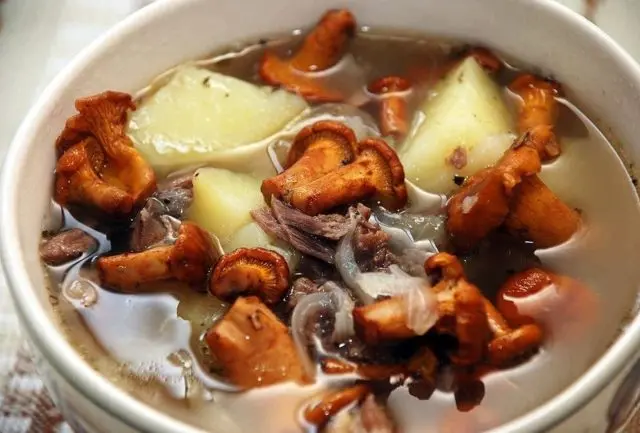 Soup with chanterelles: recipes with chicken, cream, beef, in Finnish