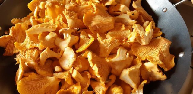 Soup with chanterelles: recipes with chicken, cream, beef, in Finnish