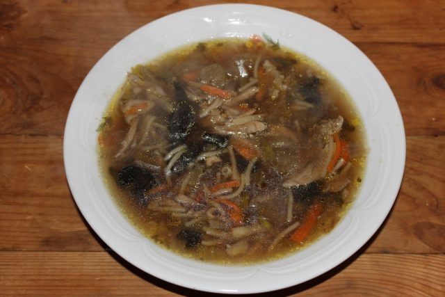 Soup with dried mushrooms: recipes with photos