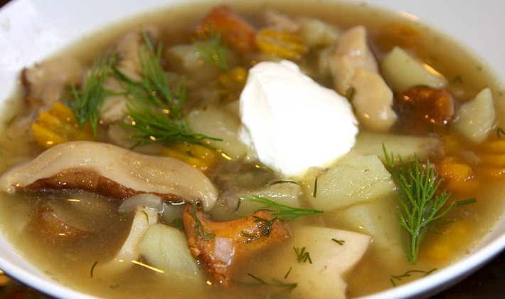 Soup with mushrooms and meat: first course recipes