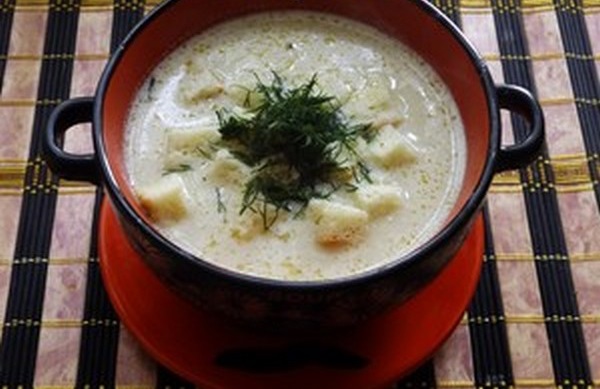 Soup with oyster mushrooms and cheese: recipes with potatoes and chicken