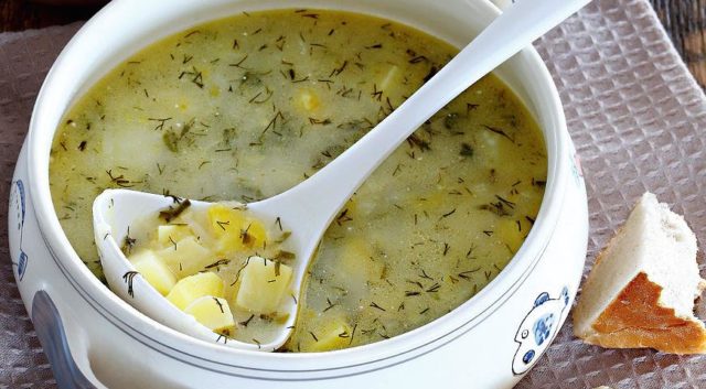 Soup with oyster mushrooms and cheese: recipes with potatoes and chicken