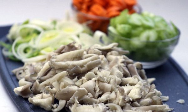 Soup with oyster mushrooms and cheese: recipes with potatoes and chicken