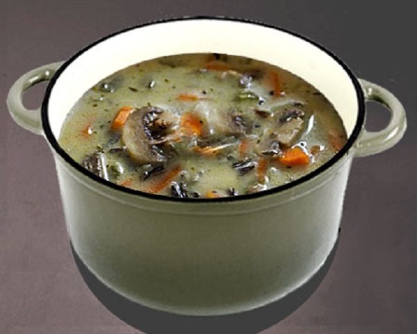 Soup with oyster mushrooms and cheese: recipes with potatoes and chicken