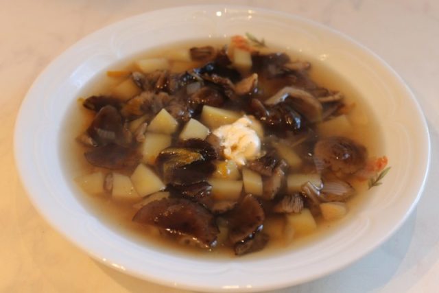 Soup with pickled mushrooms: recipes with photos