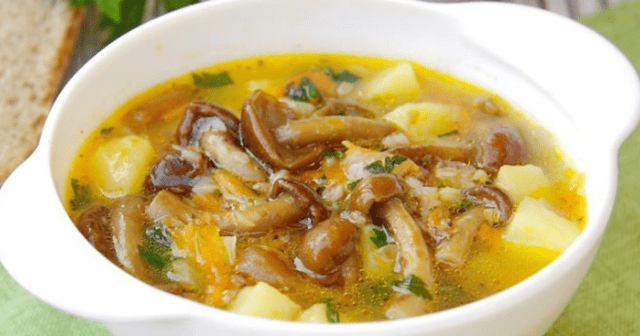 Soup with pickled mushrooms: recipes with photos