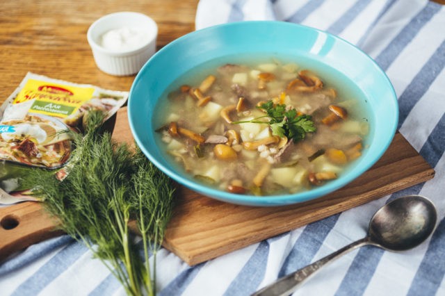 Soup with pickled mushrooms: recipes with photos