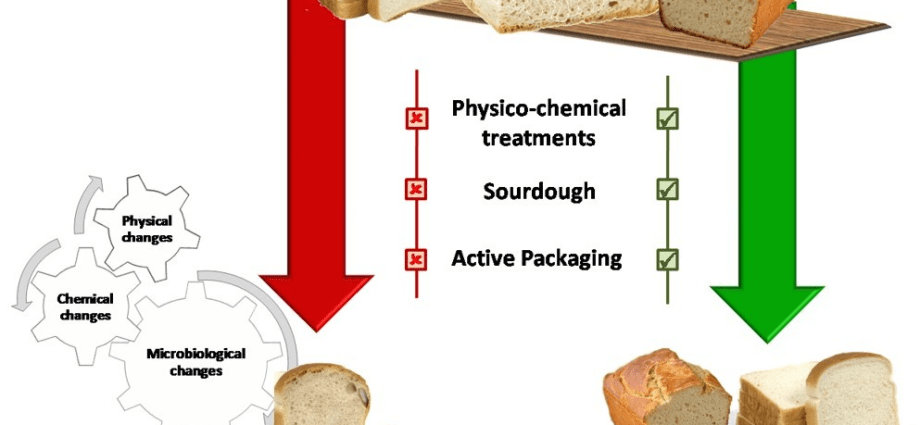 Sourdoughs &#8211; what they are, prevention, treatment