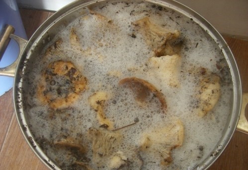 Soured milk mushrooms: what to do and how to avoid fermentation