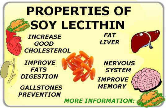 Lécithine de soja : propriétés et applications