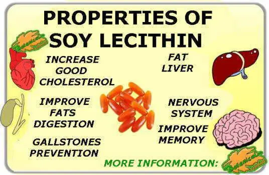 Soy lecithin: properties and applications