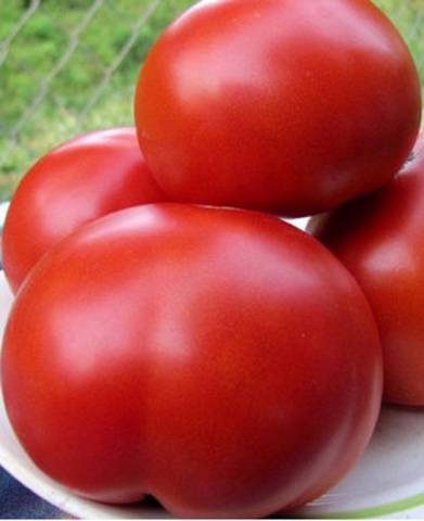 Spasskaya Tower tomato: characteristics and description of the variety