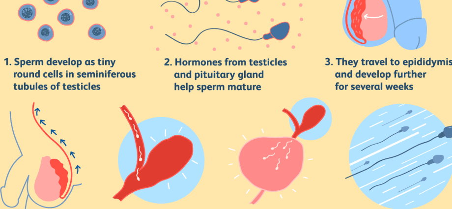 Sperm don&#8217;t like noise